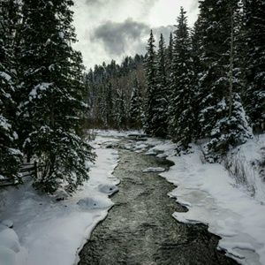 Meet your Posher, Katelyn